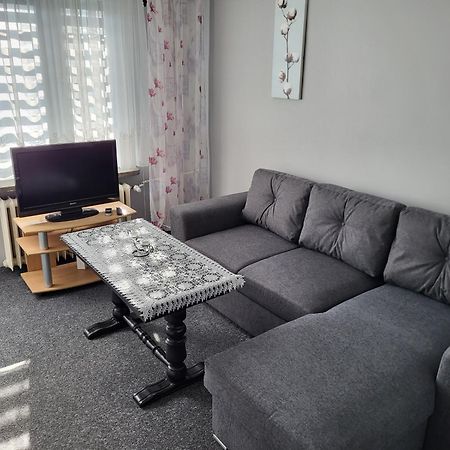 Apartament Sosnowy Z Parkingiem Stary Toruń Dış mekan fotoğraf