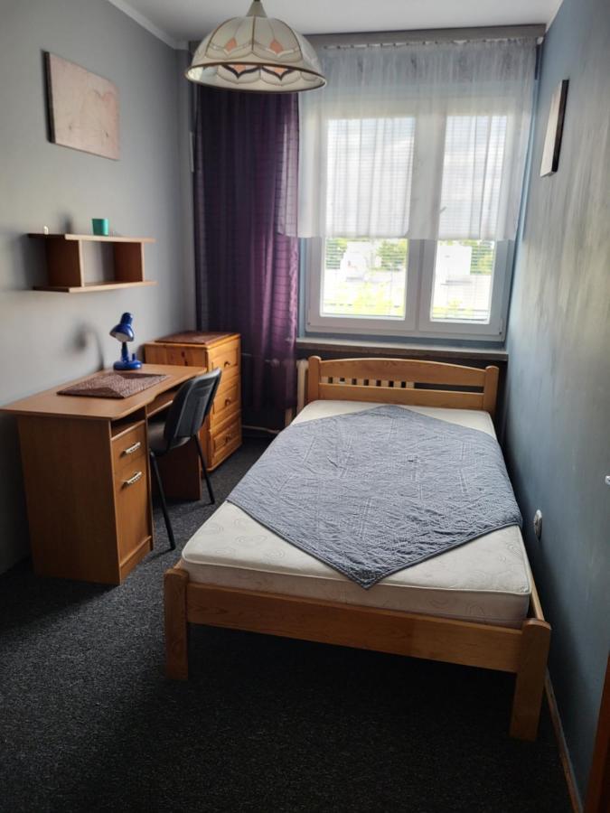 Apartament Sosnowy Z Parkingiem Stary Toruń Dış mekan fotoğraf